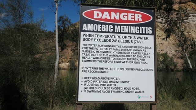 Danger amoebic meningitis