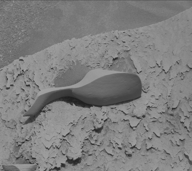 Марсоход Curiosity прислал очень странное фото с Марса. Является ли это подтверждением того, что есть жизнь на Марсе?